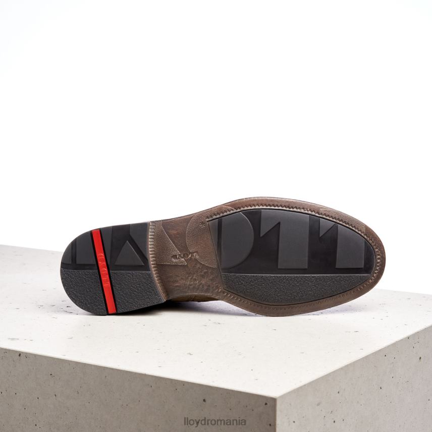 pantofi LLOYD dual maro bărbați 68260498