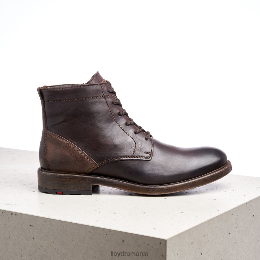 pantofi LLOYD dual maro bărbați 68260526