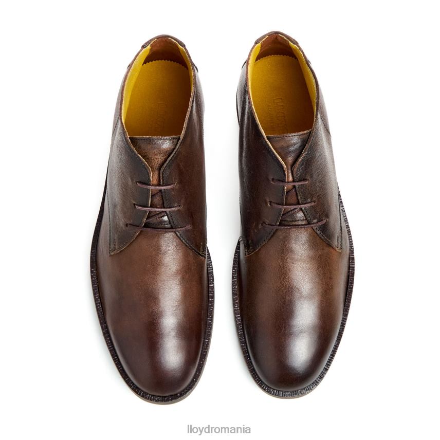 pantofi LLOYD duce maro bărbați 6826043