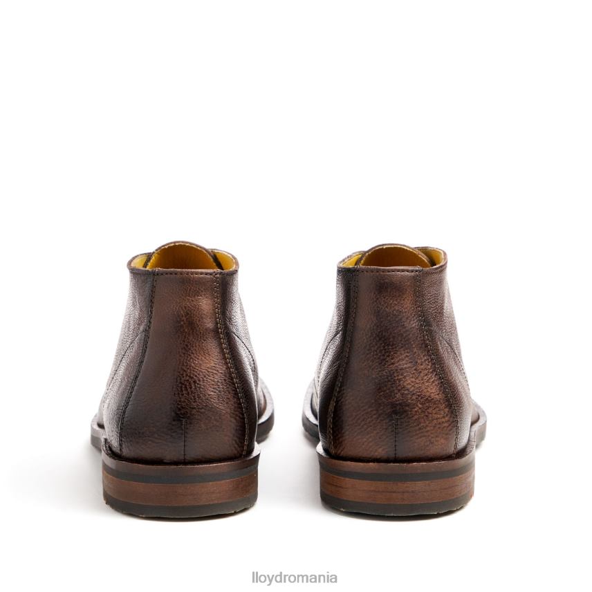 pantofi LLOYD duce maro bărbați 6826043