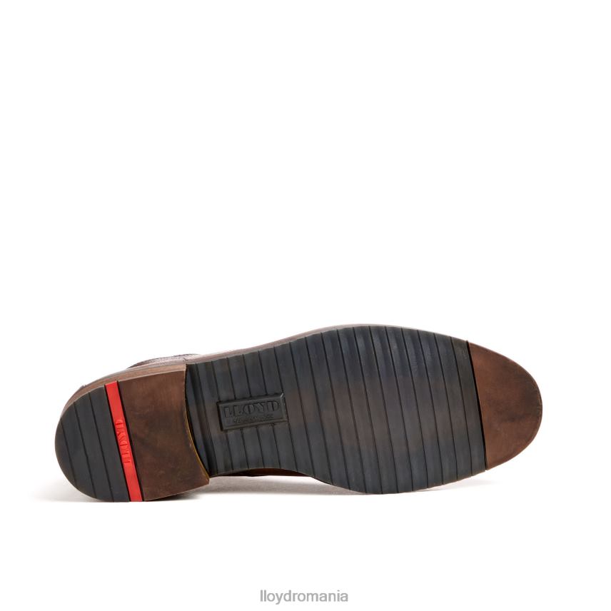 pantofi LLOYD duce maro bărbați 6826043
