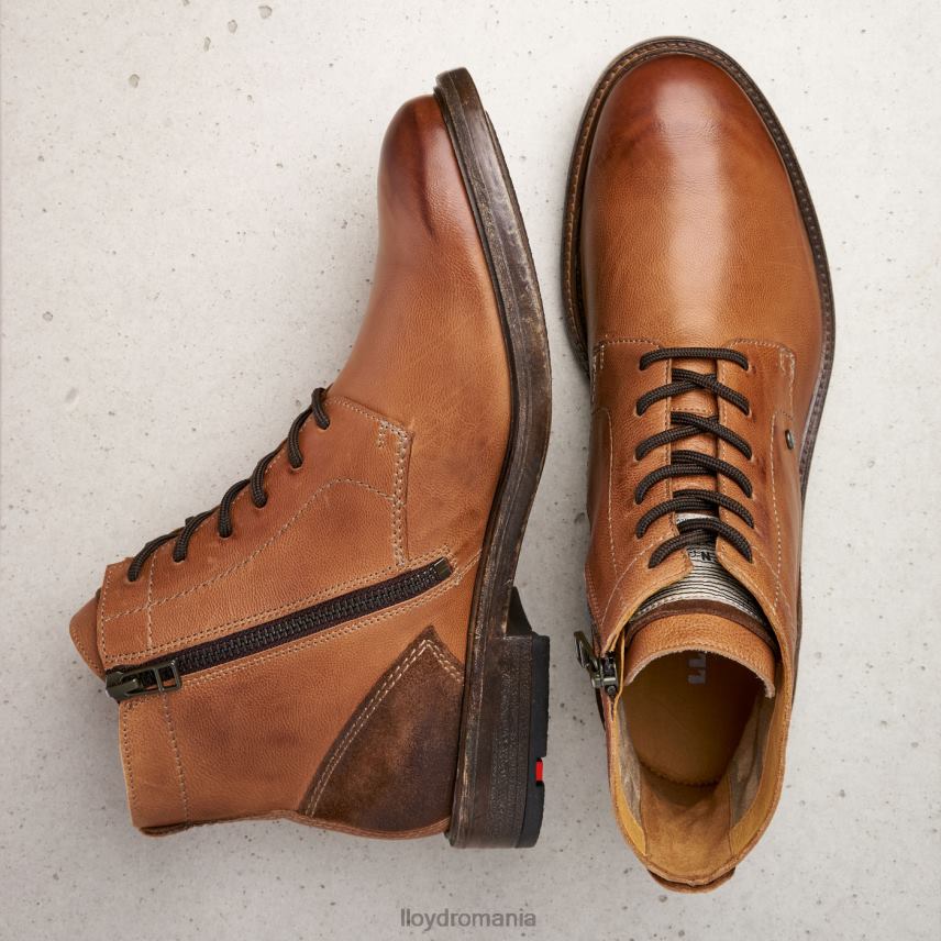 pantofi LLOYD dwayn maro bărbați 68260535