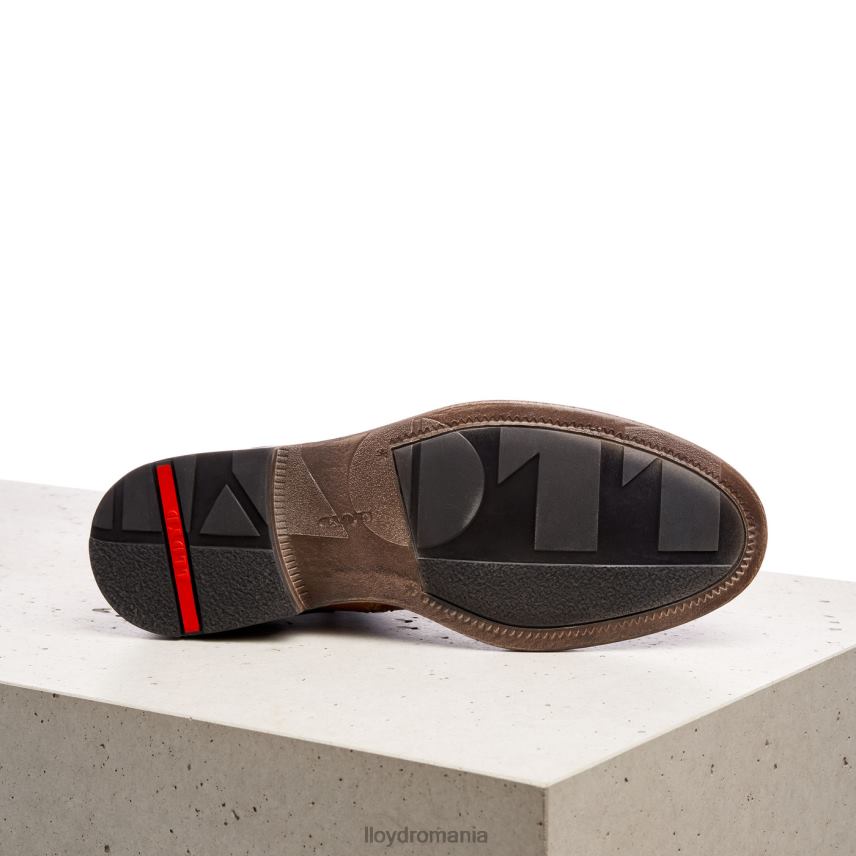 pantofi LLOYD dwayn maro bărbați 68260535