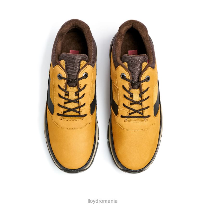 pantofi LLOYD ebe maro bărbați 68260295