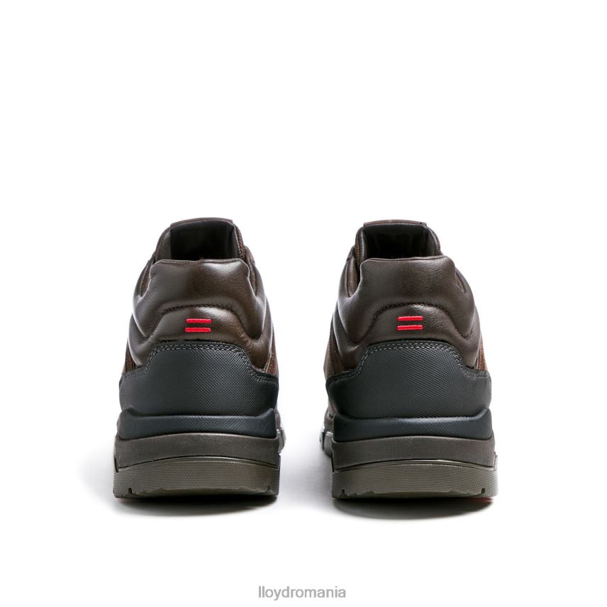 pantofi LLOYD edd maro bărbați 68260467