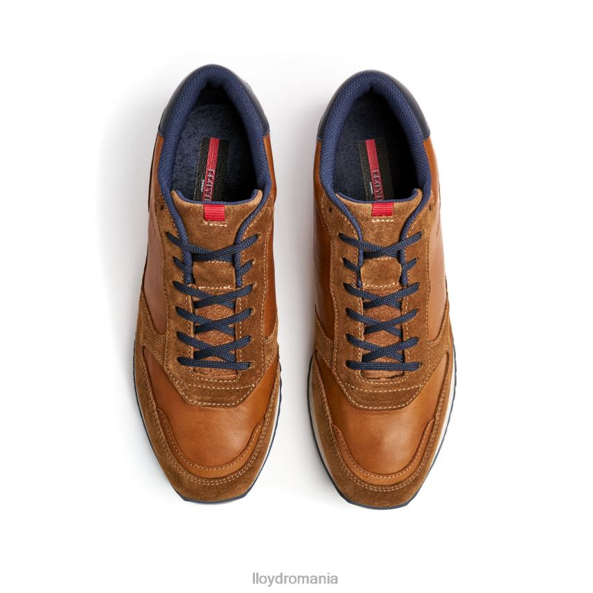 pantofi LLOYD edmond maro bărbați 68260310