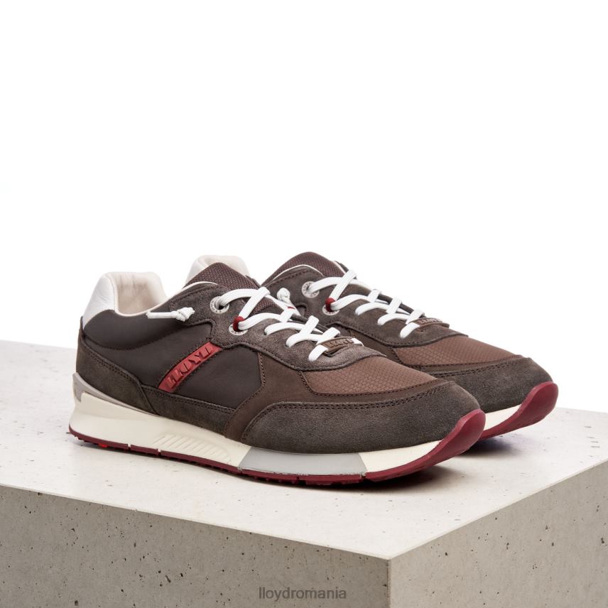 pantofi LLOYD egidio maro bărbați 68260432