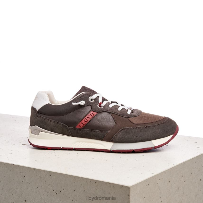 pantofi LLOYD egidio maro bărbați 68260432