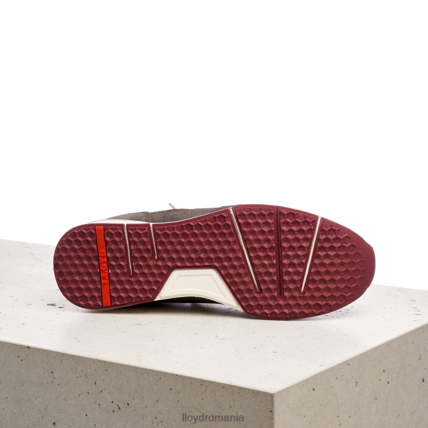 pantofi LLOYD egidio maro bărbați 68260432