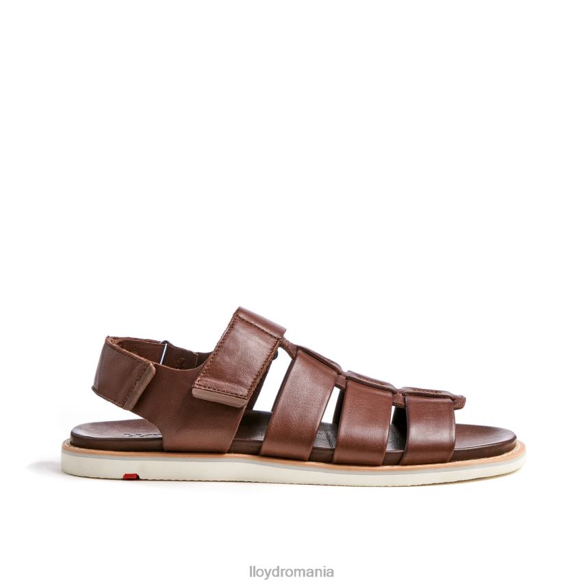 pantofi LLOYD elimar maro bărbați 68260583