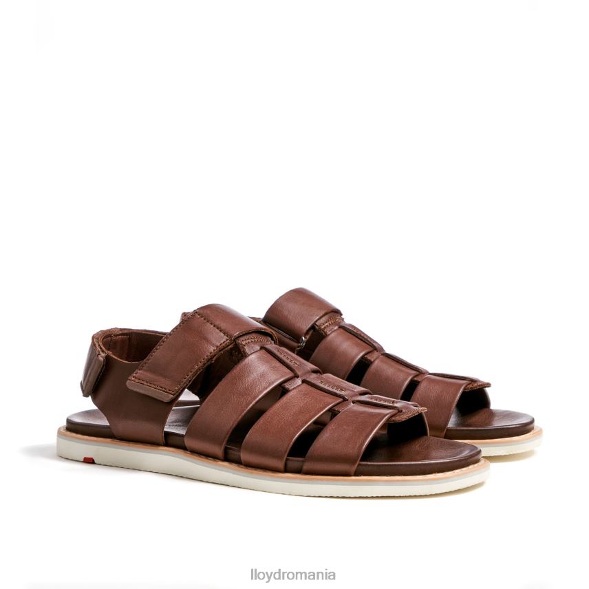 pantofi LLOYD elimar maro bărbați 68260583