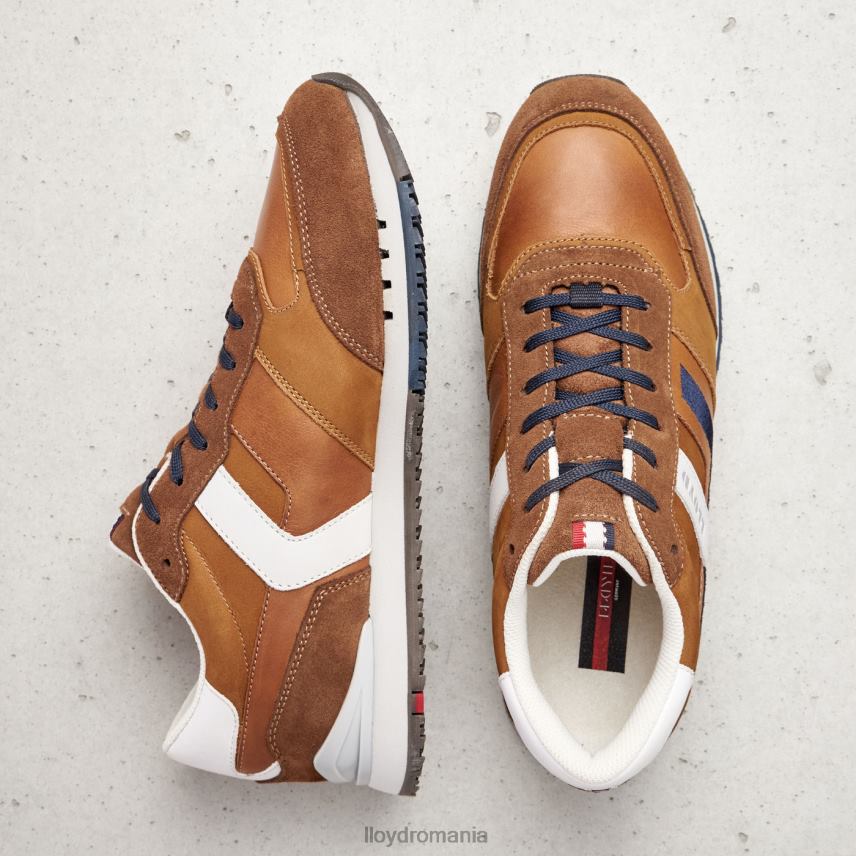 pantofi LLOYD elio maro bărbați 68260381