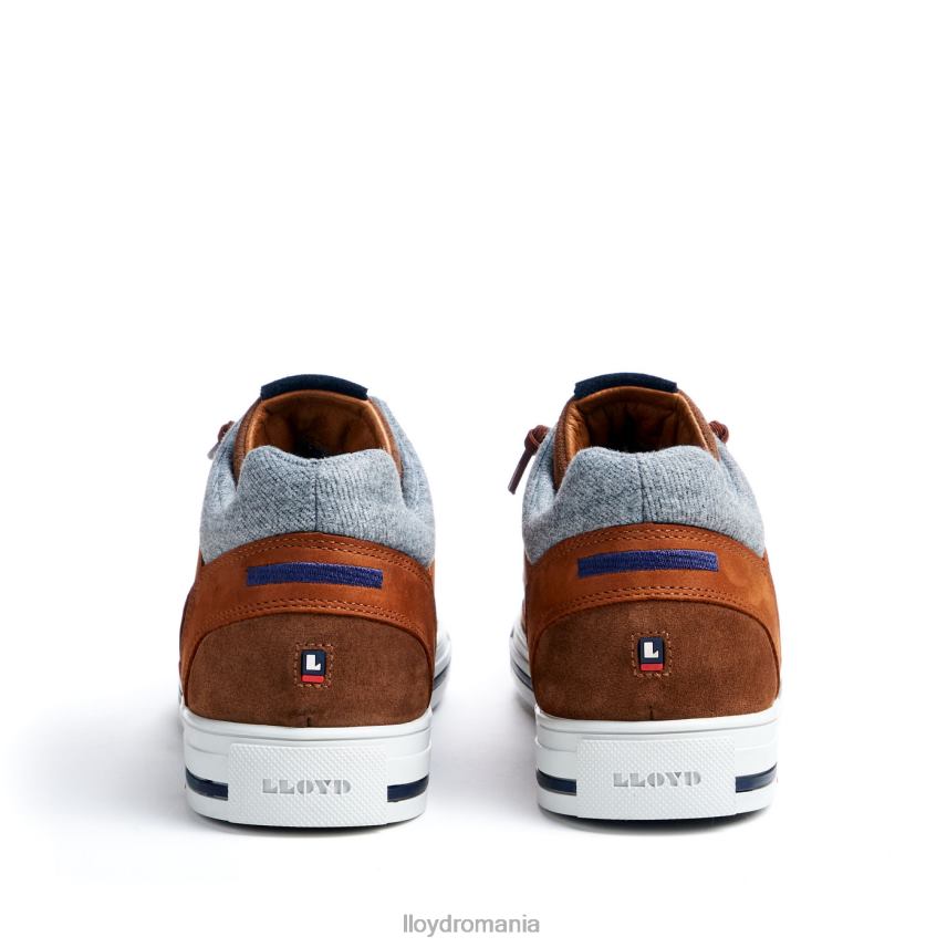 pantofi LLOYD ellison maro bărbați 68260316