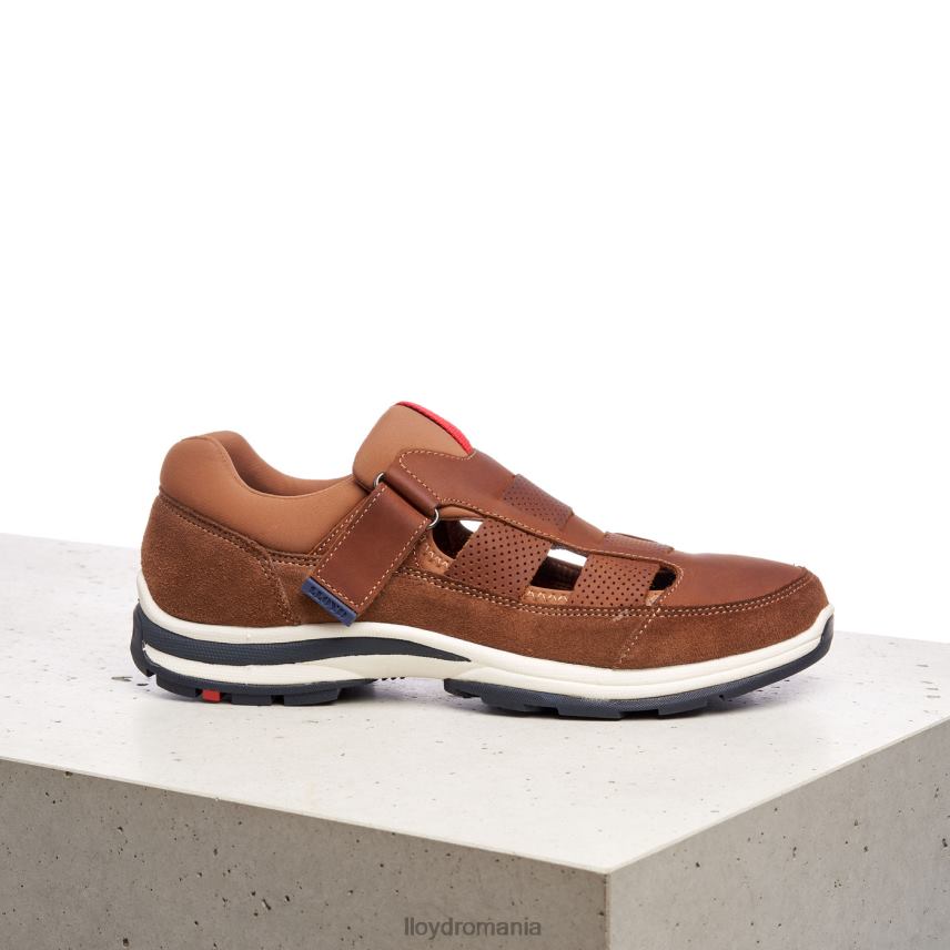 pantofi LLOYD elrado maro bărbați 68260625
