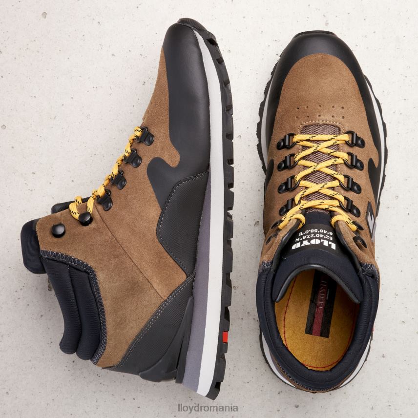 pantofi LLOYD elwas maro bărbați 68260551