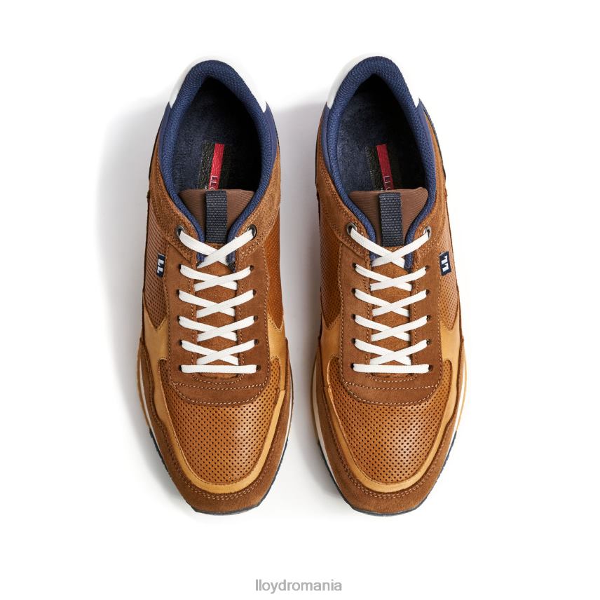 pantofi LLOYD emilian maro bărbați 68260282