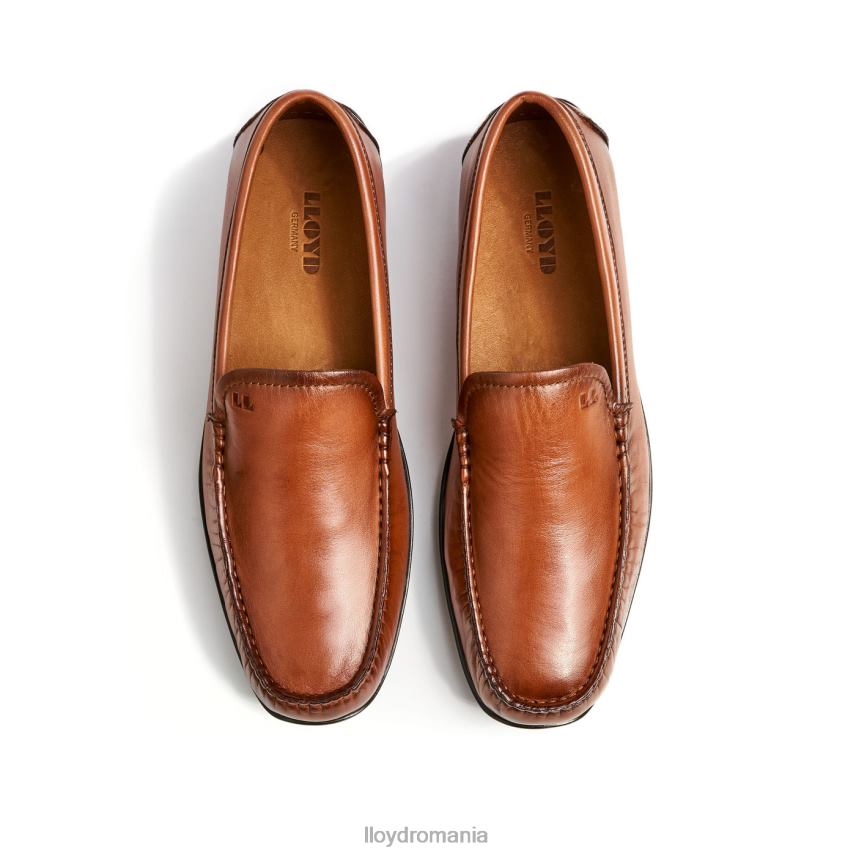 pantofi LLOYD emilio maro bărbați 68260621