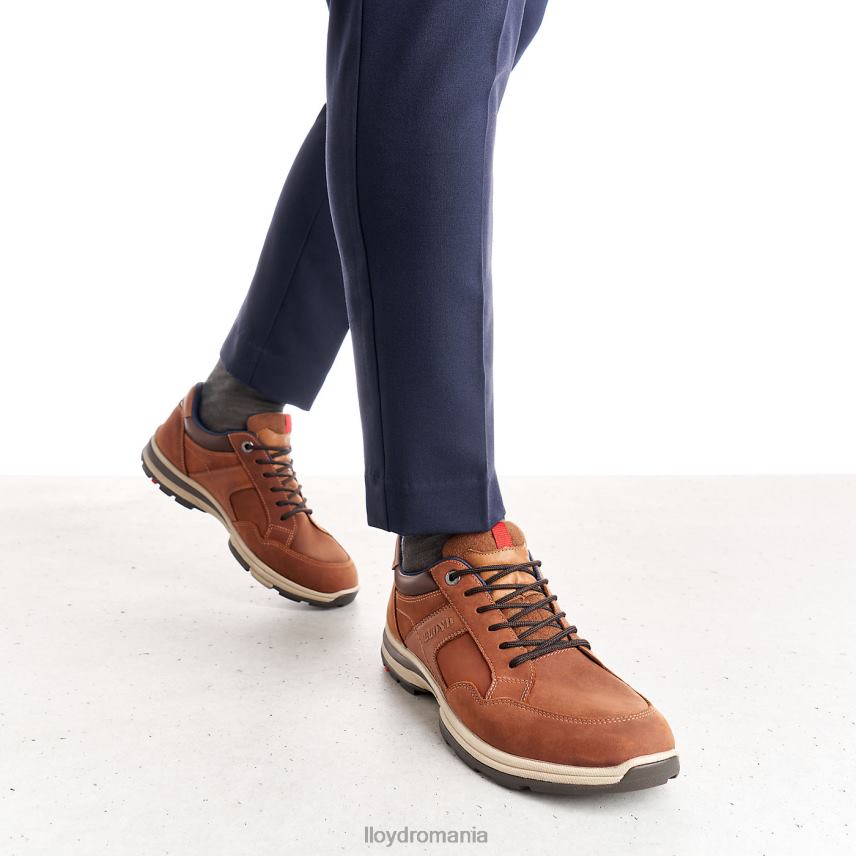 pantofi LLOYD ensor maro bărbați 68260394