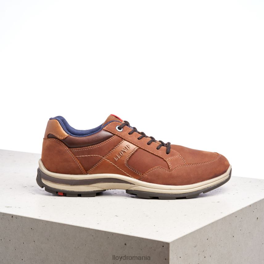 pantofi LLOYD ensor maro bărbați 68260394