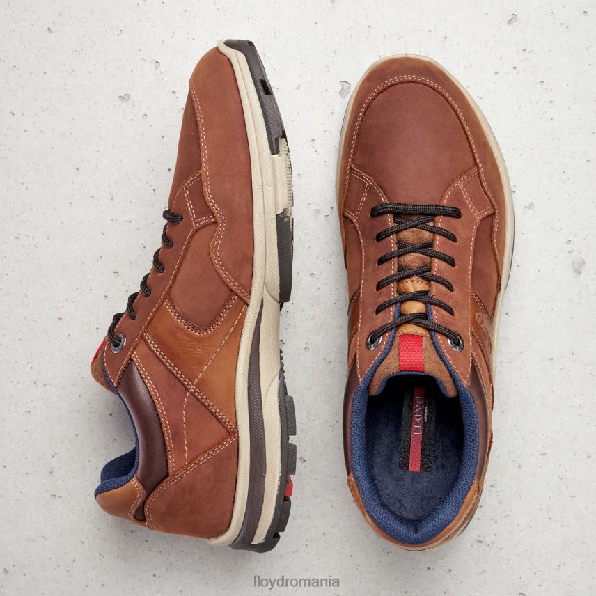 pantofi LLOYD ensor maro bărbați 68260394