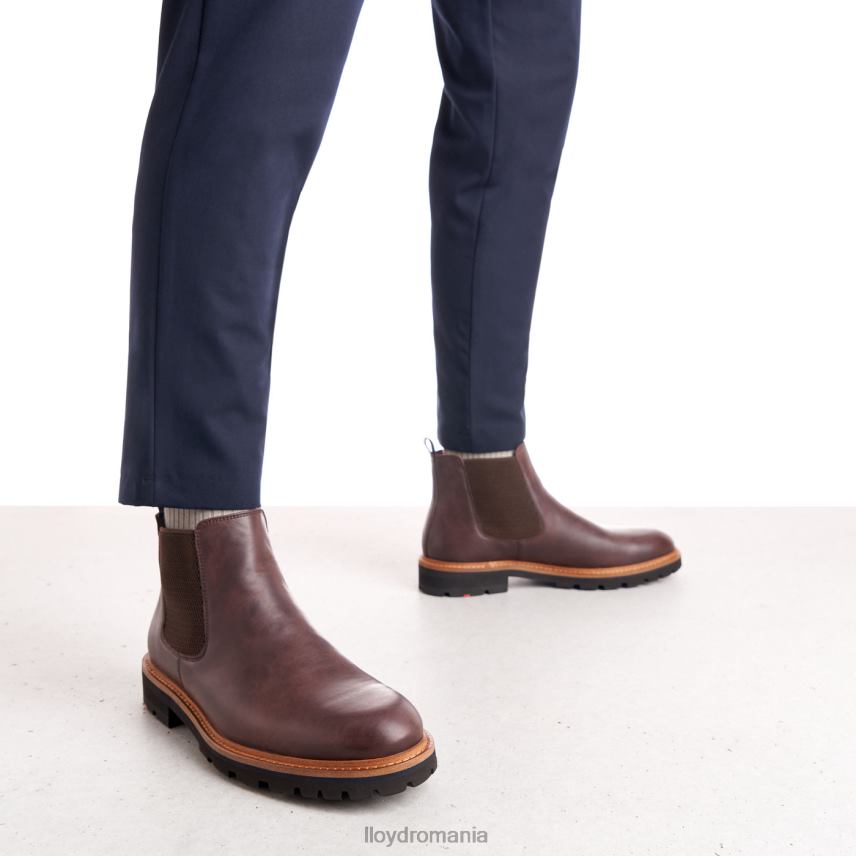 pantofi LLOYD fedor maro bărbați 68260523