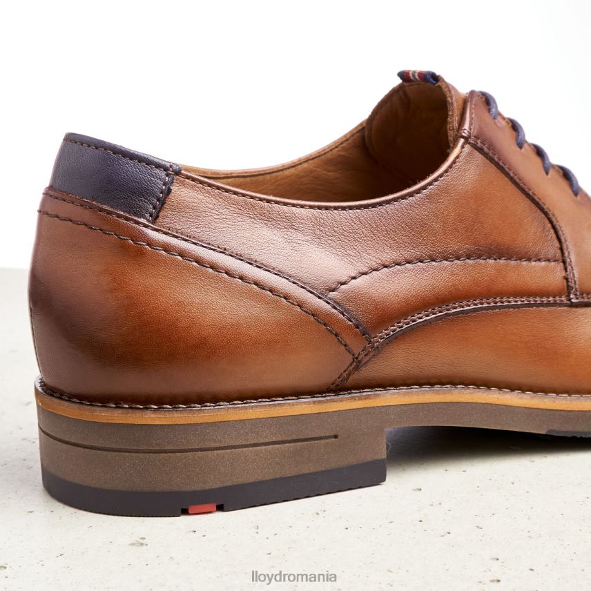 pantofi LLOYD haldan maro bărbați 68260172