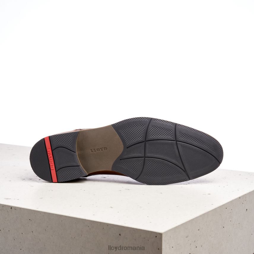 pantofi LLOYD haldan maro bărbați 68260172