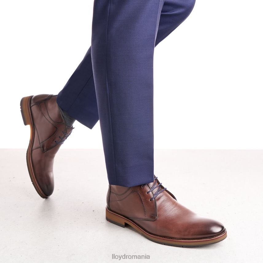 pantofi LLOYD hastings maro bărbați 68260566