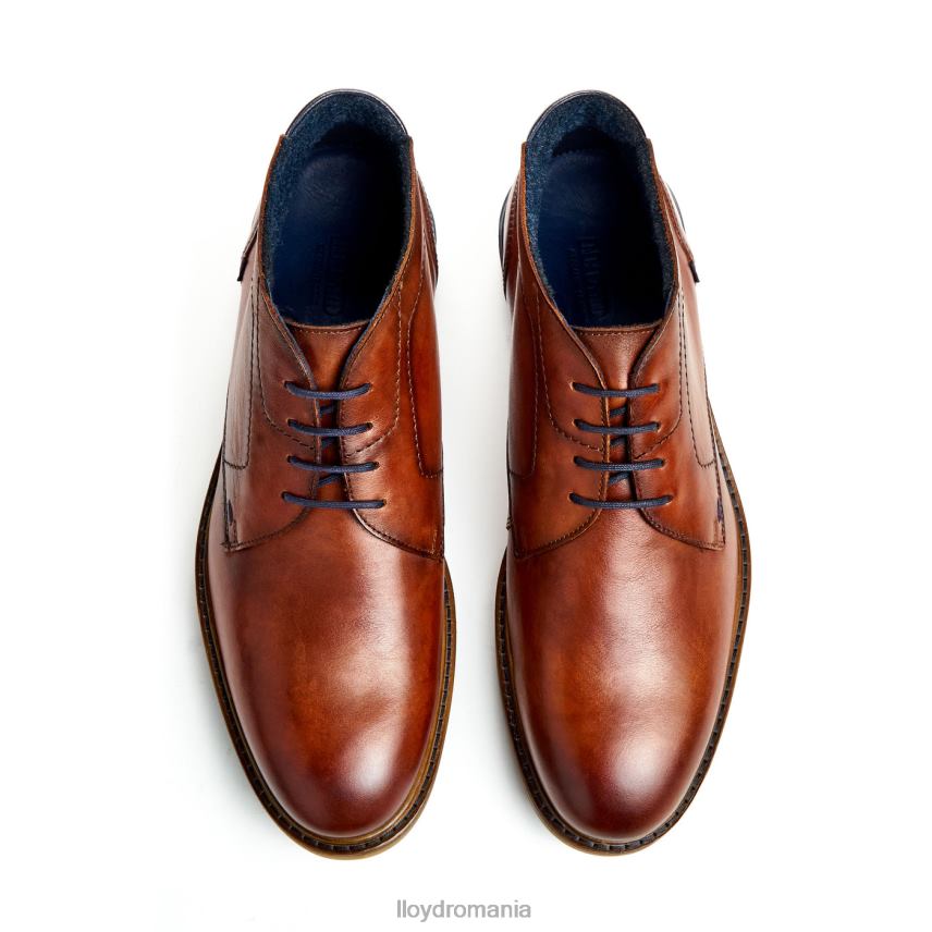 pantofi LLOYD hengelo maro bărbați 68260463