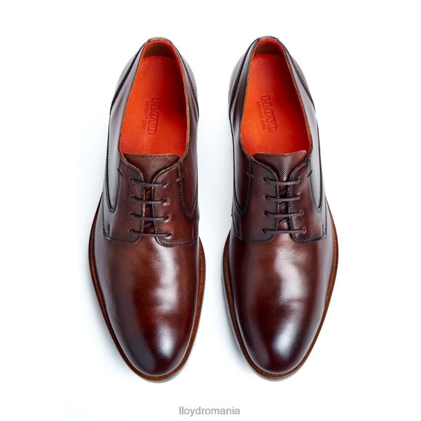 pantofi LLOYD jackson maro bărbați 6826046