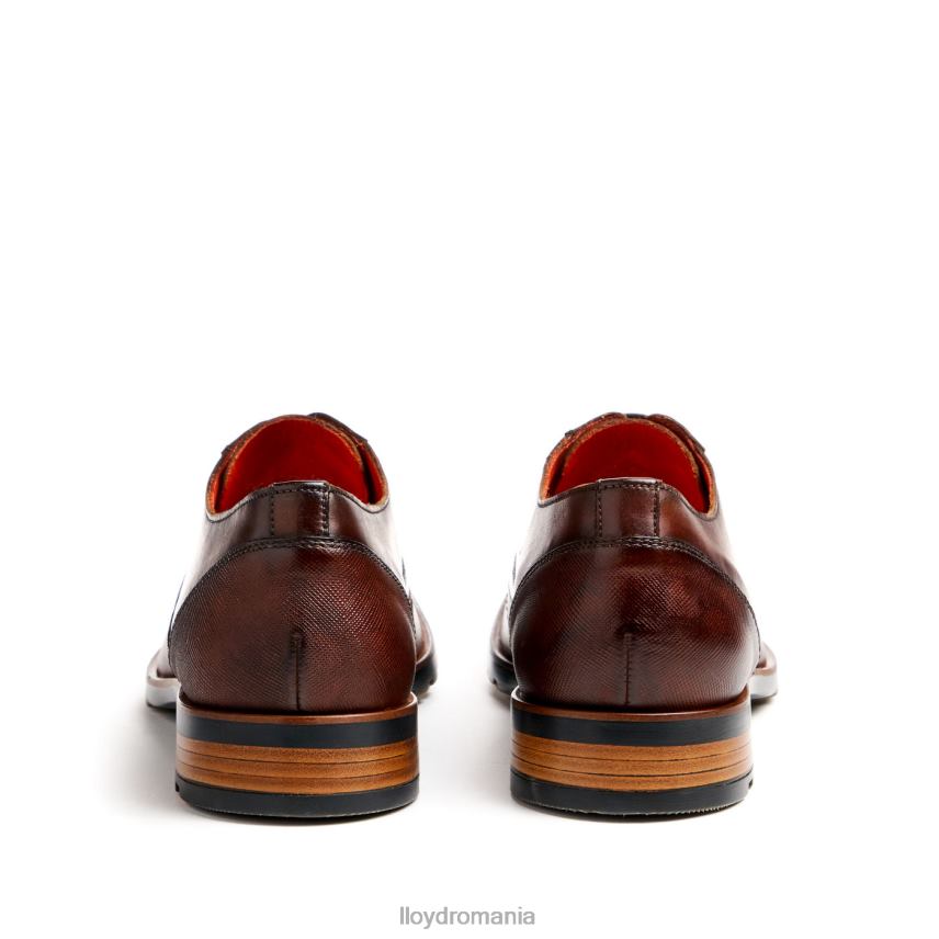 pantofi LLOYD jackson maro bărbați 6826046