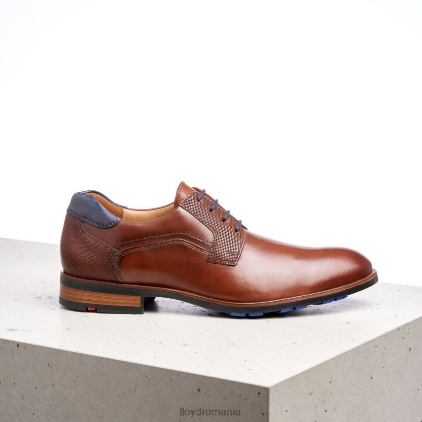 pantofi LLOYD jake maro bărbați 68260199