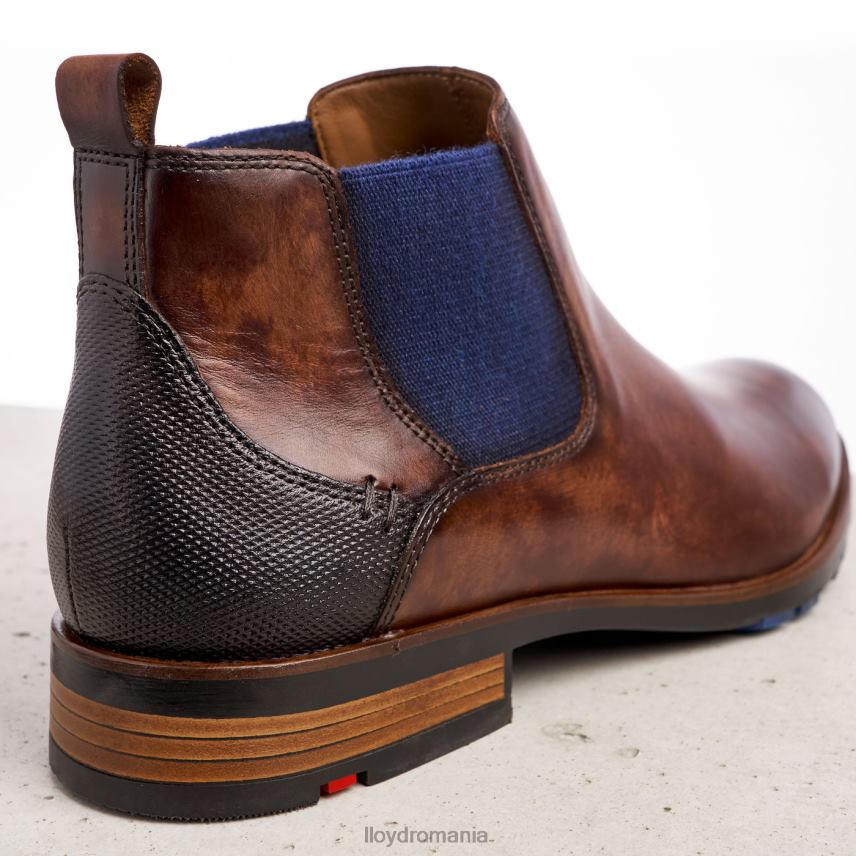 pantofi LLOYD jaser maro bărbați 68260200