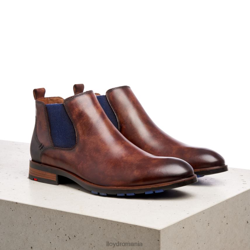 pantofi LLOYD jaser maro bărbați 68260200