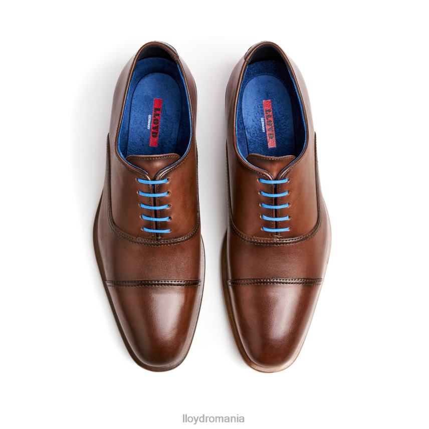 pantofi LLOYD jefuiesc maro bărbați 68260130