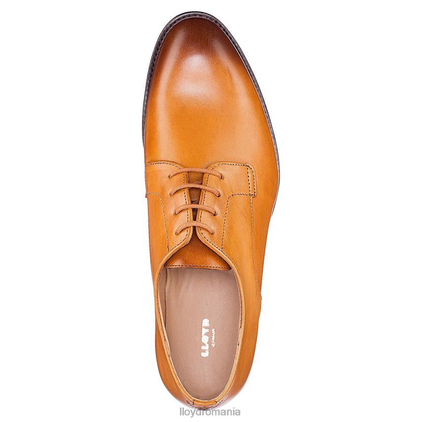 pantofi LLOYD jumătate de pantofi cu șireturi maro femei 682601090