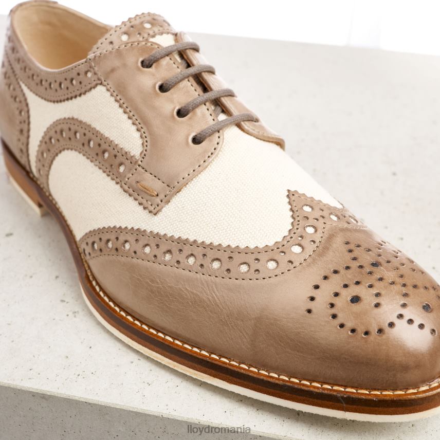 pantofi LLOYD jumătate pantofi din piele din dantelă bej femei 682601065