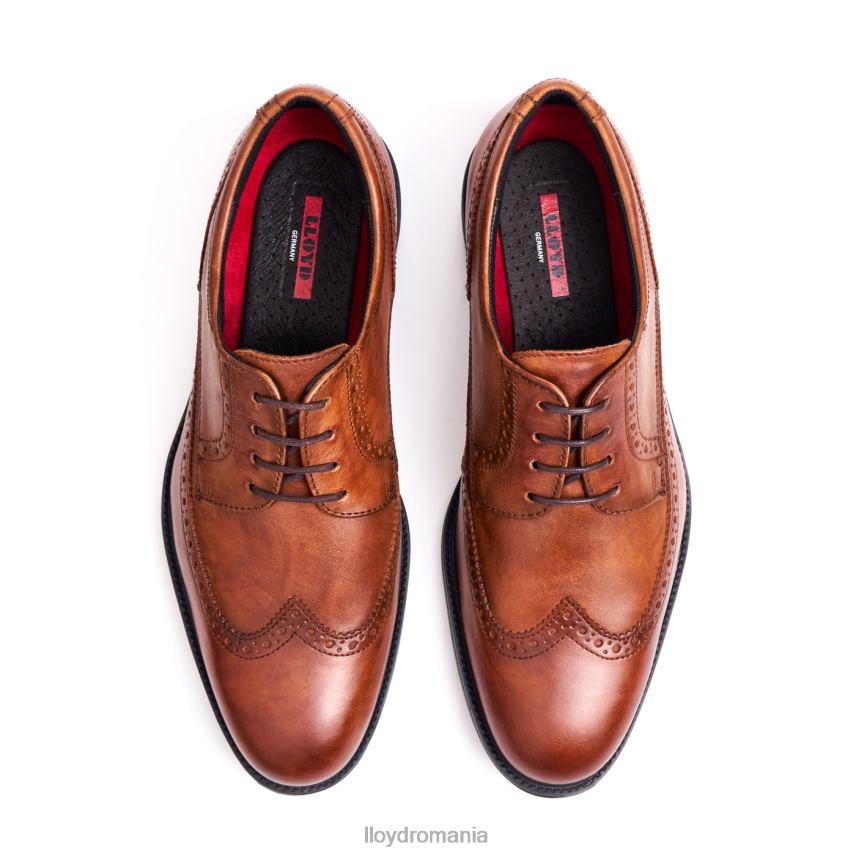 pantofi LLOYD kaleb (xtrawide) maro bărbați 6826020