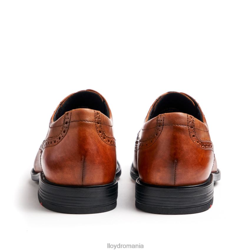 pantofi LLOYD kaleb (xtrawide) maro bărbați 6826020