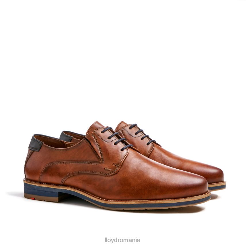 pantofi LLOYD kazan (xtrawide) maro bărbați 68260110