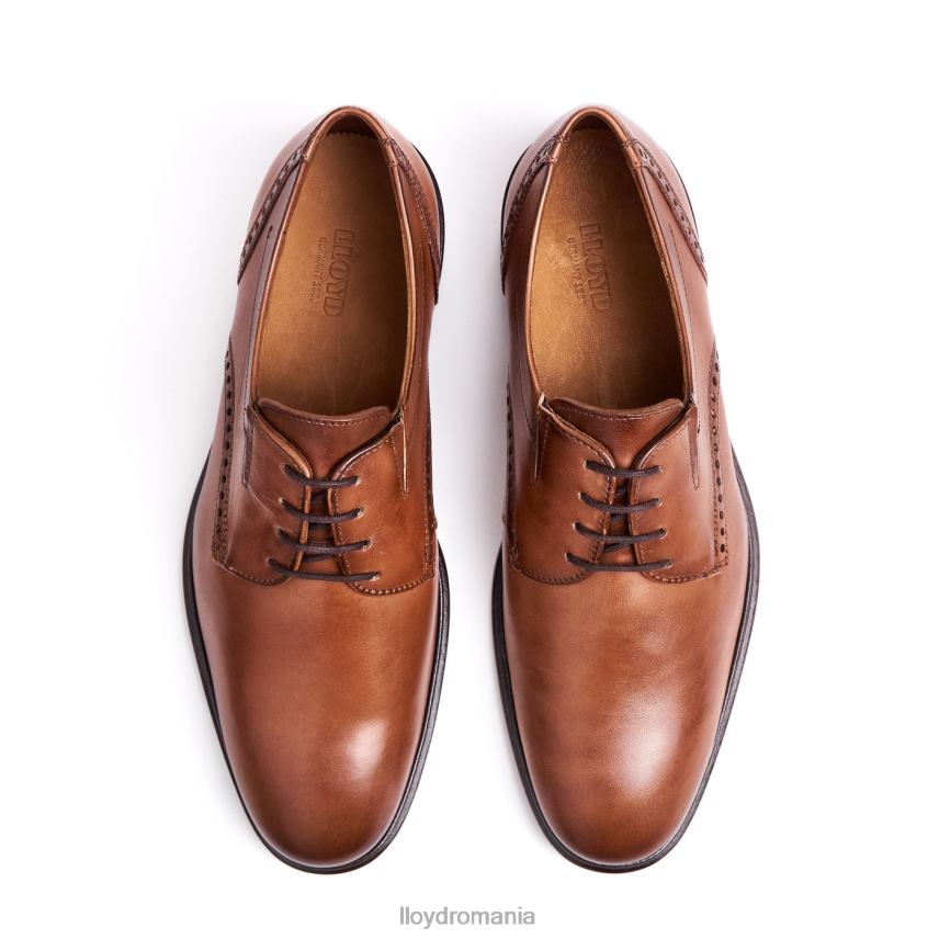 pantofi LLOYD koog (xtrawide) maro bărbați 6826075
