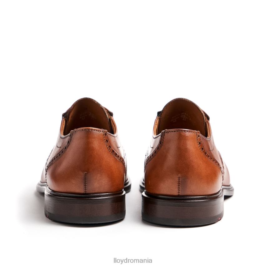 pantofi LLOYD koog (xtrawide) maro bărbați 6826075