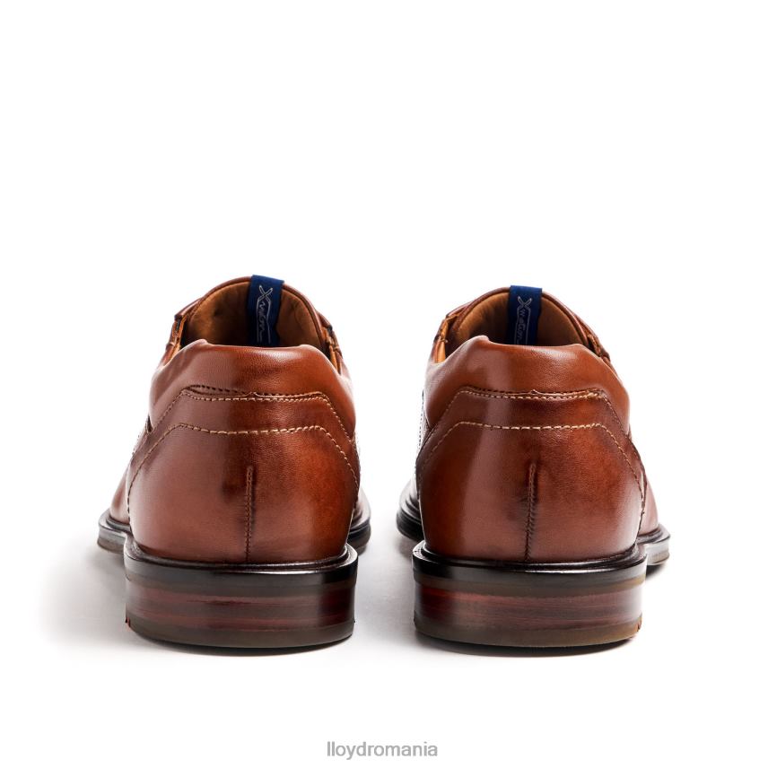 pantofi LLOYD kos (xtrawide) maro bărbați 68260142