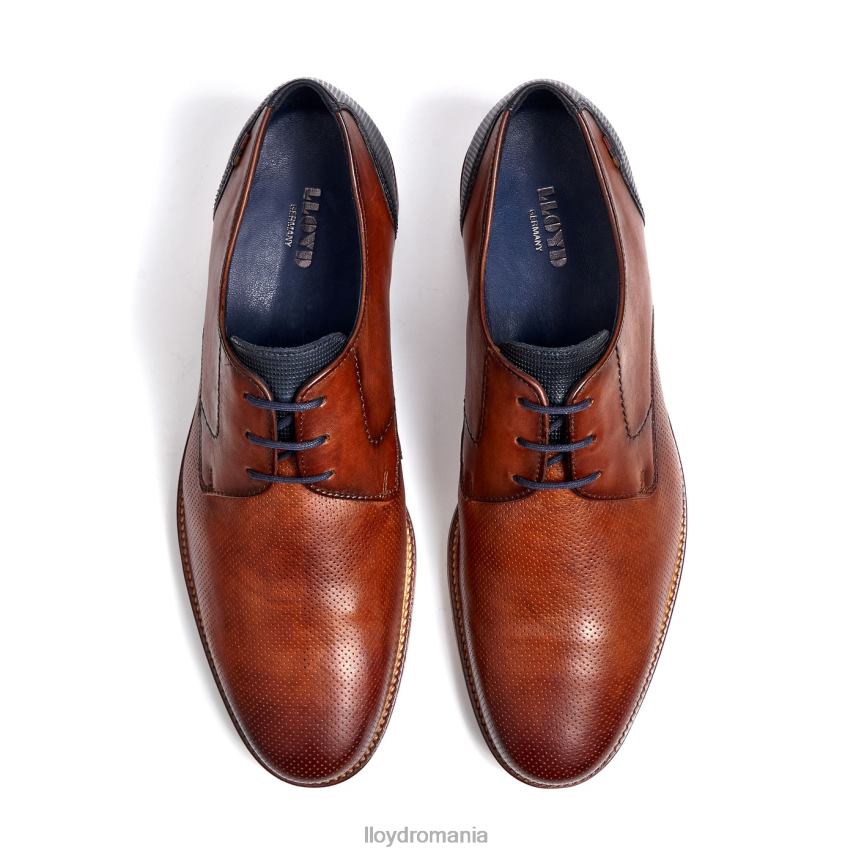 pantofi LLOYD lagos maro bărbați 68260105