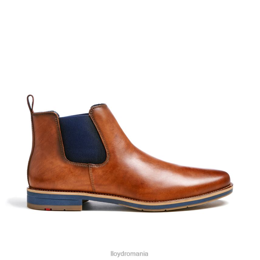 pantofi LLOYD lawrence maro bărbați 68260453