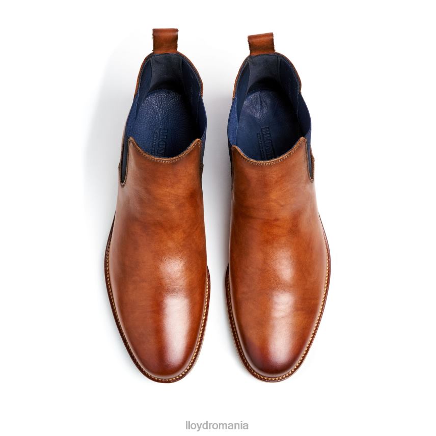 pantofi LLOYD lawrence maro bărbați 68260453