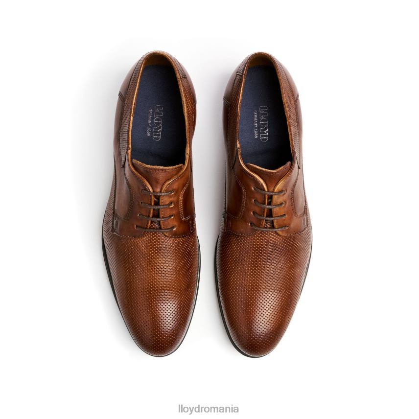 pantofi LLOYD levin maro bărbați 6826087