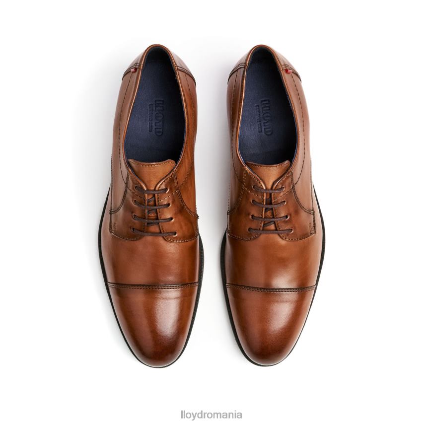 pantofi LLOYD lias maro bărbați 6826024