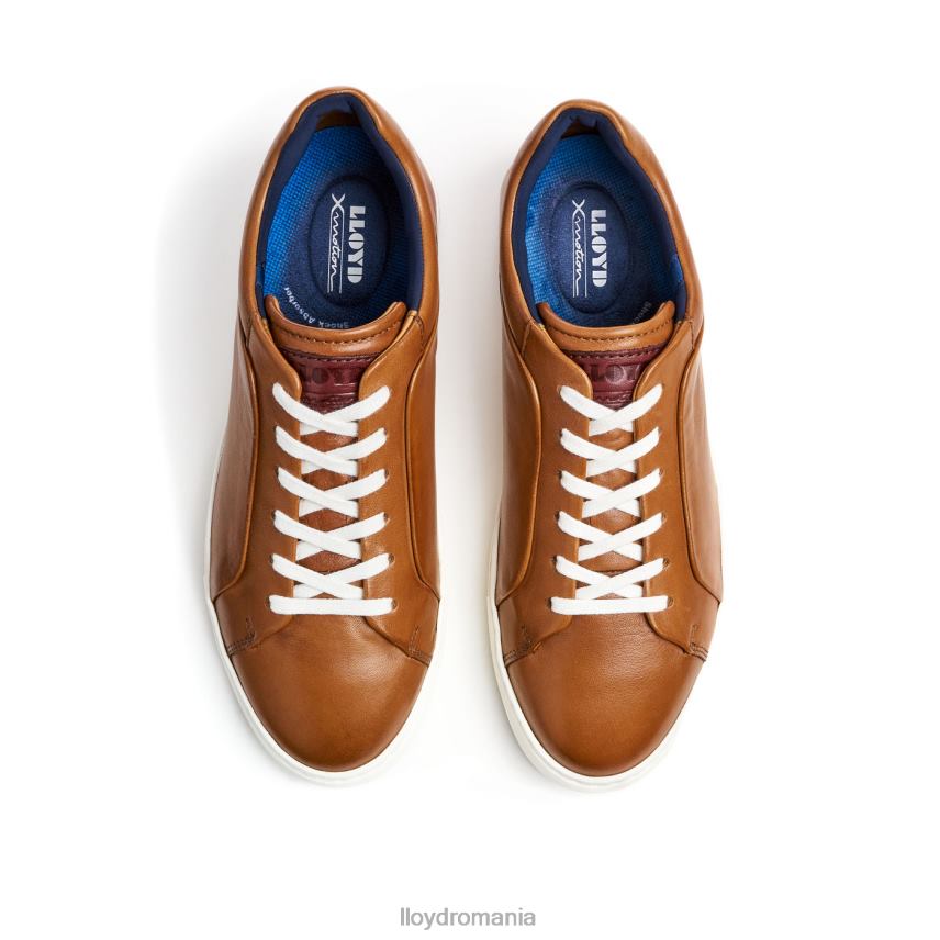 pantofi LLOYD majuro maro bărbați 68260258