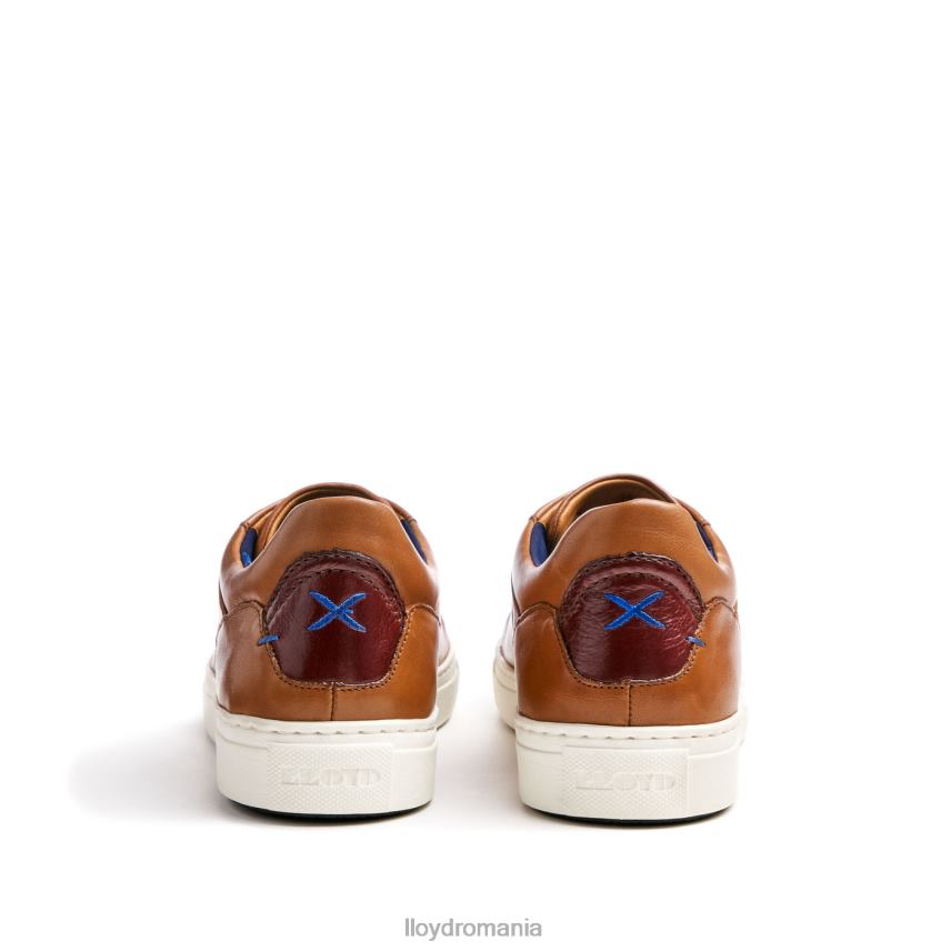 pantofi LLOYD majuro maro bărbați 68260258